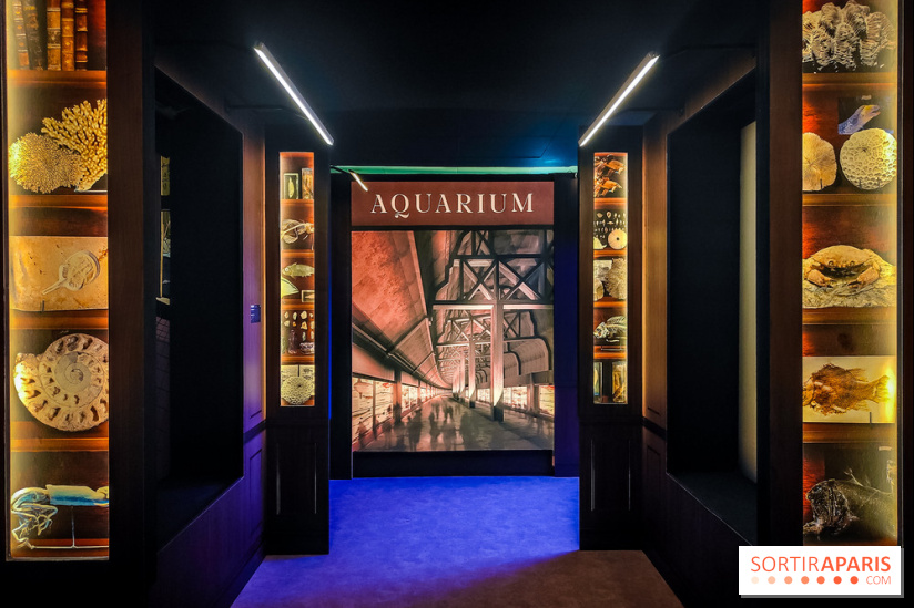 Enquête à Madagascar : nos photos de l'exposition immersive ultra ludique de l'Aquarium tropical - IMG20231113102316