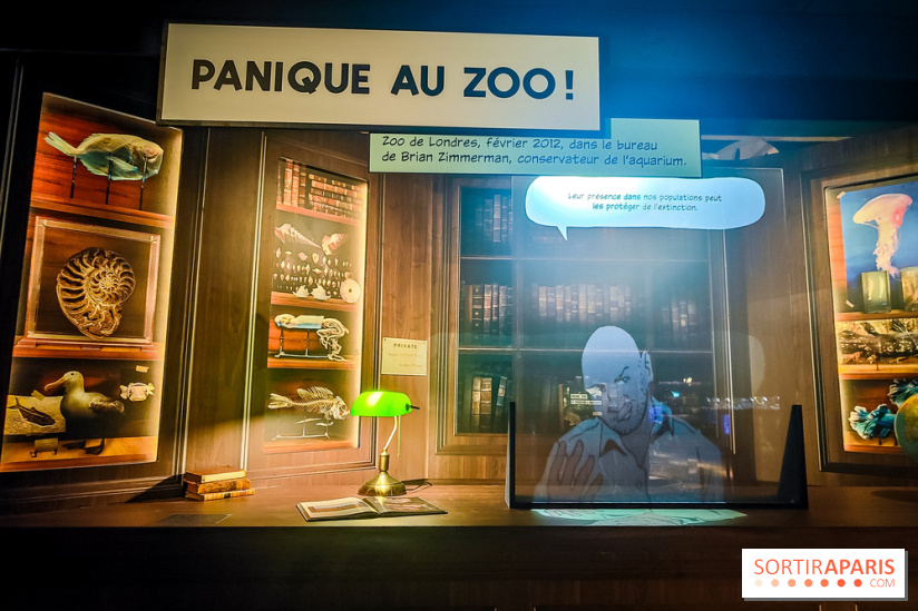 Enquête à Madagascar : nos photos de l'exposition immersive ultra ludique de l'Aquarium tropical - IMG20231113102218