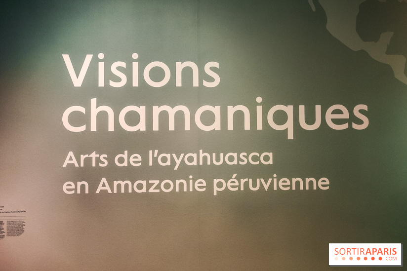 Visions chamaniques : l'exposition du musée du Quai Branly qui nous transporte en Amazonie