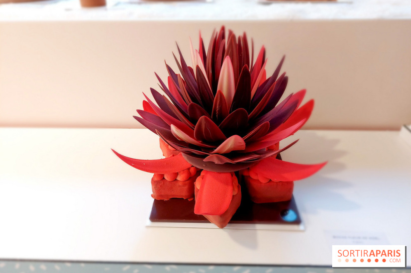 Bûches et chocolats de Noël 2023 de Pierre Marcolini, nos photos - 20230907 112621