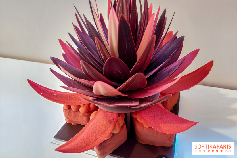 Bûches et chocolats de Noël 2023 de Pierre Marcolini, nos photos - 20230907 112813