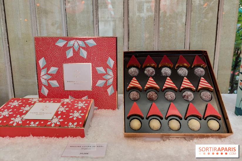 Bûches et chocolats de Noël 2023 de Pierre Marcolini, nos photos - 20230907 112920