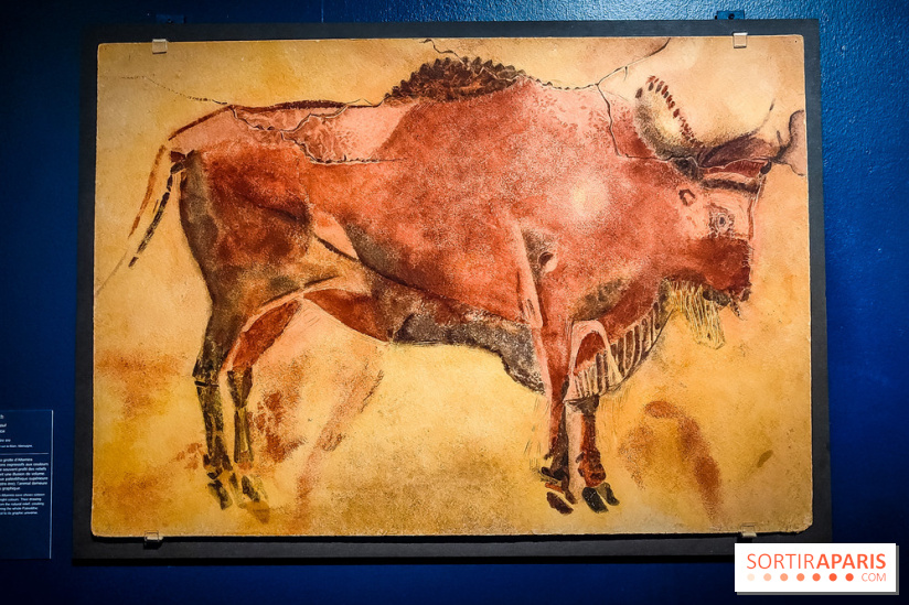 Préhistomania au Musée de l'Homme : l'exposition événement autour de l'art rupestre - nos photos - IMG20231115100219