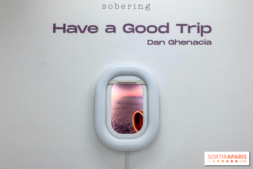 Exposition immersive Have a Good Trip Dan Ghenacia Sobering Galerie - IMG 1966
