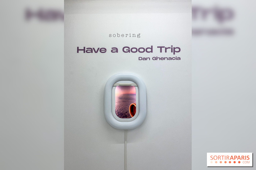 Exposition immersive Have a Good Trip Dan Ghenacia Sobering Galerie