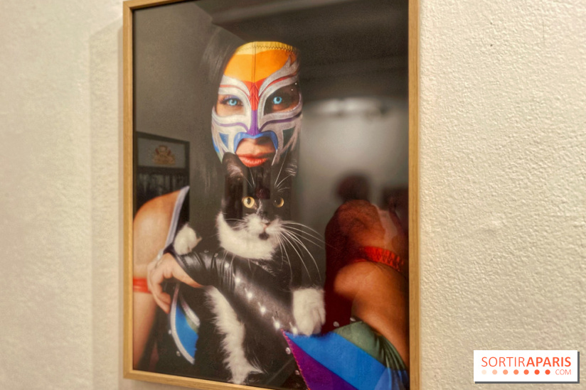 Lucha Libre à l'Institut culturel du Mexique - IMG 6790 2