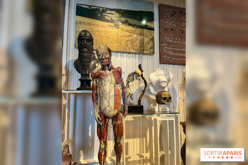 Le musée de l'Homme - collections permanentes