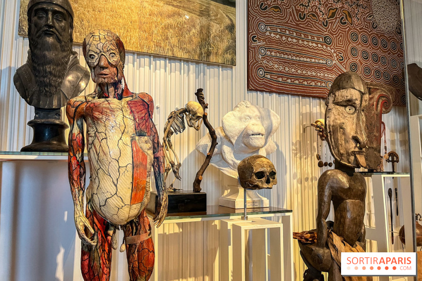 Le musée de l'Homme - collections permanentes