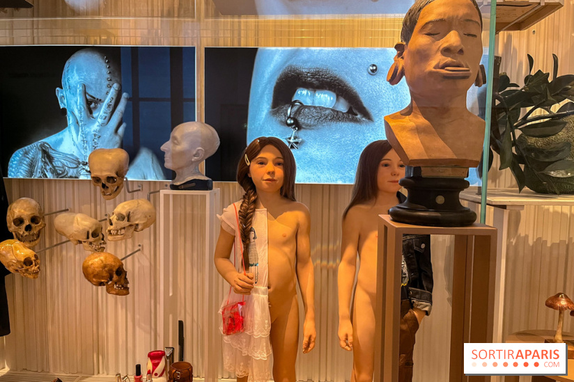 Le musée de l'Homme - collections permanentes - image00069