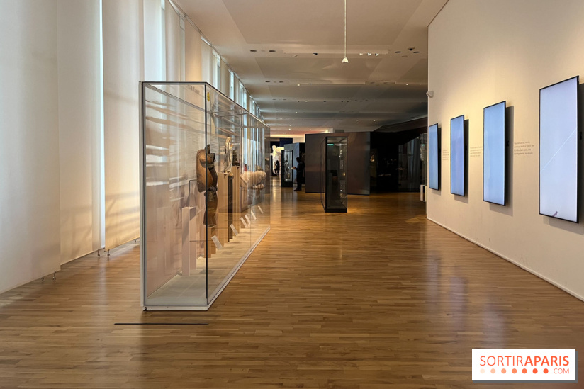 Le musée de l'Homme - collections permanentes - image00071