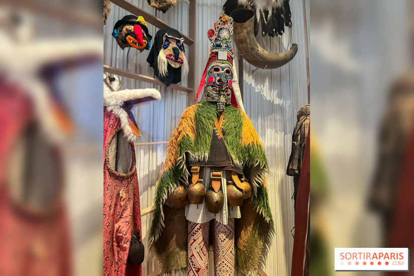 Le musée de l'Homme - collections permanentes - image00061