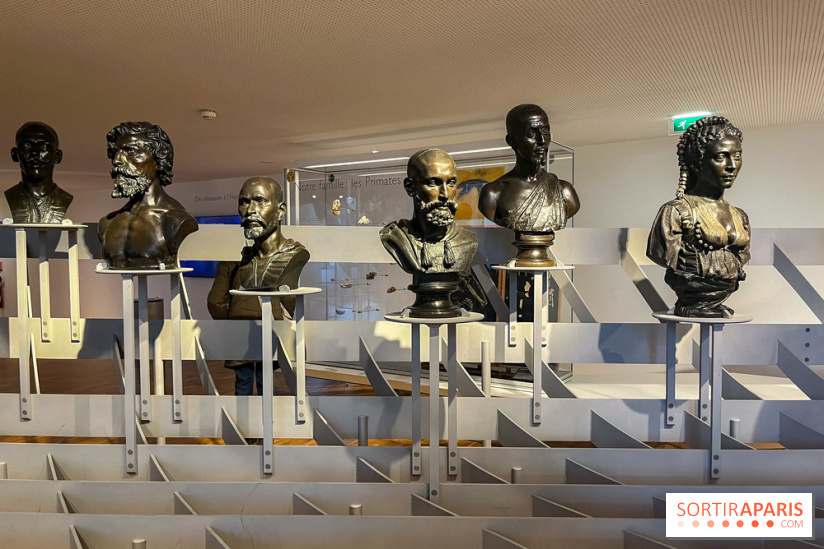 Le musée de l'Homme - collections permanentes - image00057