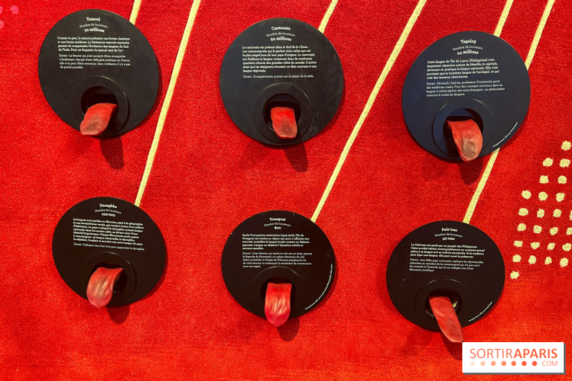 Le musée de l'Homme - collections permanentes - image00060