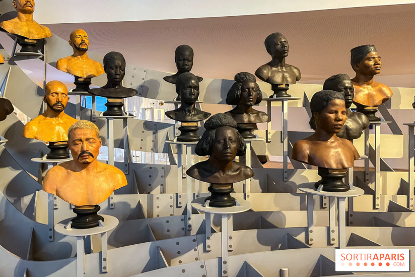 Le musée de l'Homme - collections permanentes - image00054