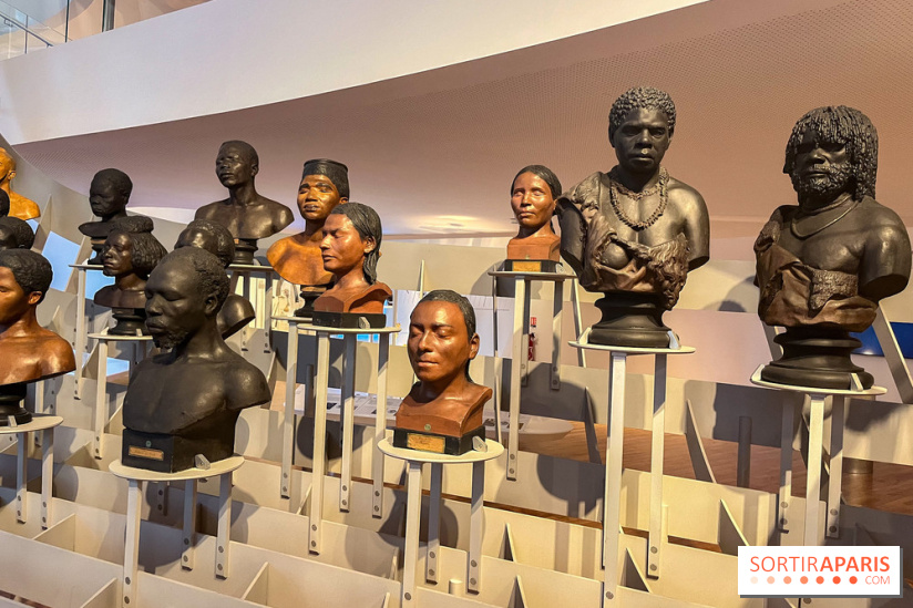 Le musée de l'Homme - collections permanentes