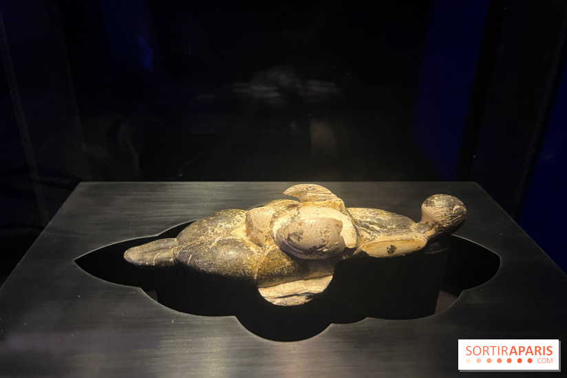 Le musée de l'Homme - collections permanentes - image00042