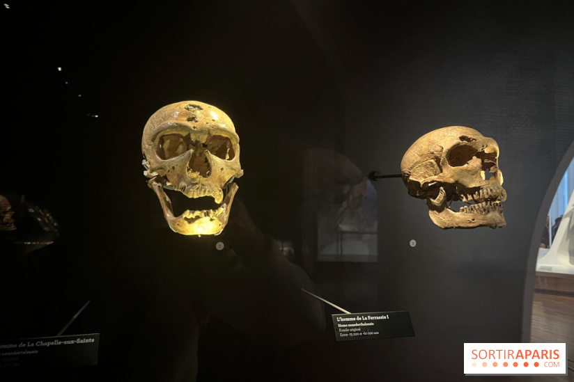 Le musée de l'Homme - collections permanentes - image00044