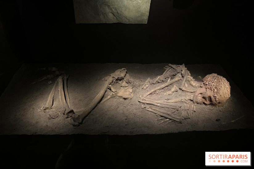 Le musée de l'Homme - collections permanentes
