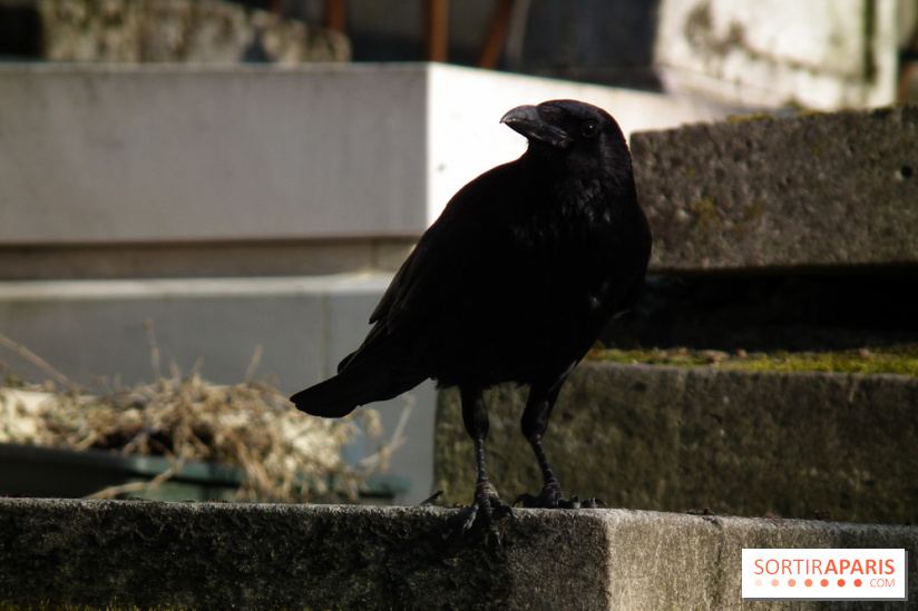 Le Père Lachaise, le cimetière le plus mythique de Paris et ses tombes de personnalités célèbres