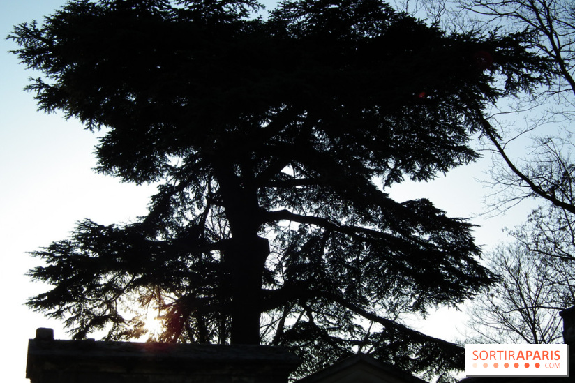Le Père Lachaise, le cimetière le plus mythique de Paris et ses tombes de personnalités célèbres