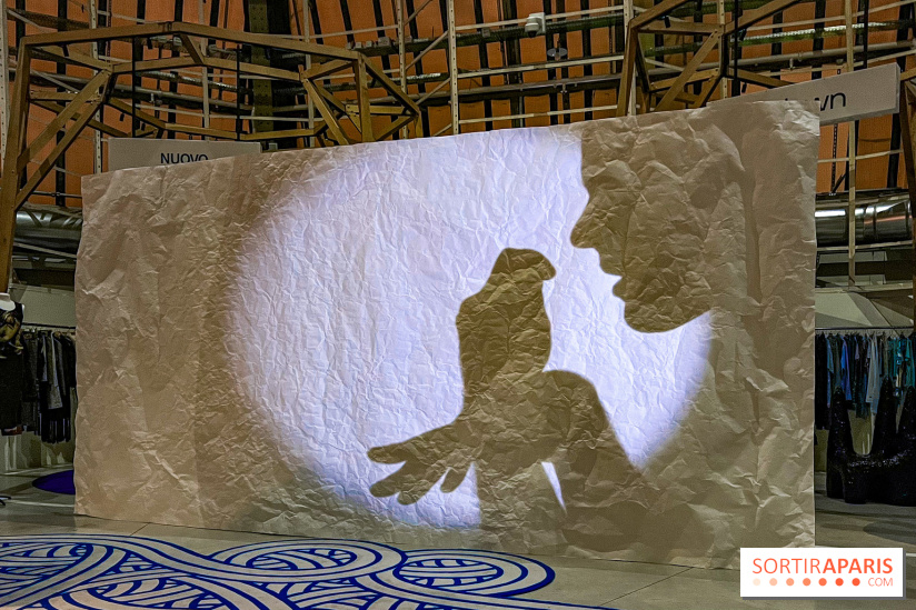 Spectacle d'ombres au Printemps Haussmann - IMG 4367 jpg