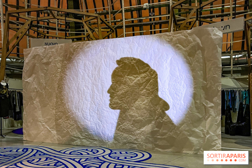 Spectacle d'ombres au Printemps Haussmann - IMG 4375 jpg