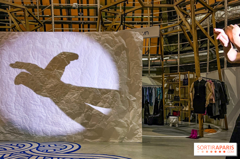 Spectacle d'ombres au Printemps Haussmann - IMG 4395 jpg