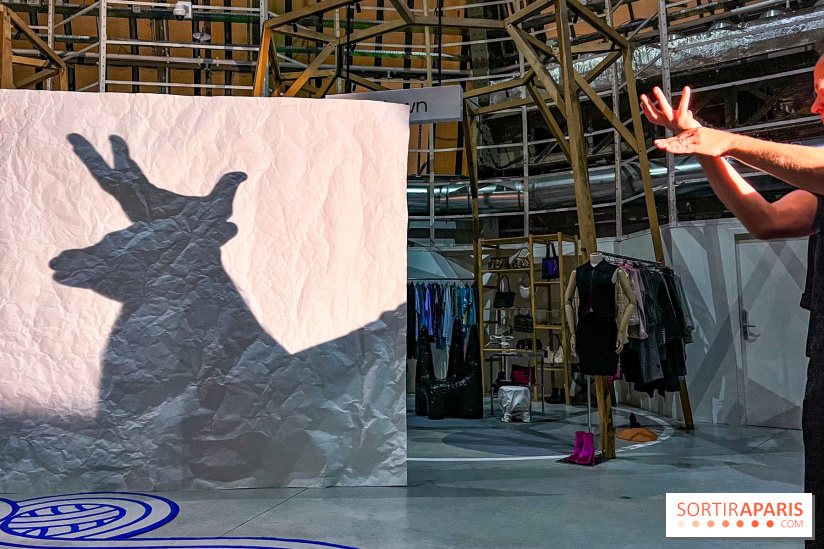 Spectacle d'ombres au Printemps Haussmann - IMG 4418 jpg