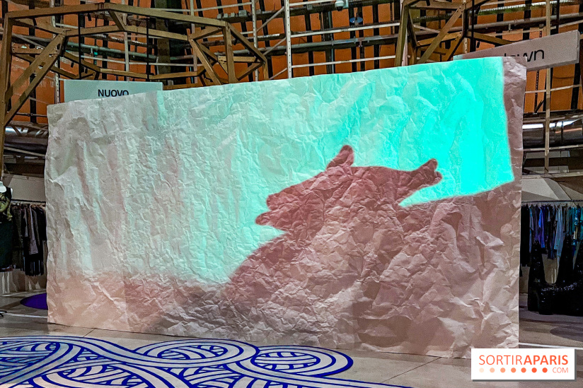 Spectacle d'ombres au Printemps Haussmann - IMG 4453 jpg