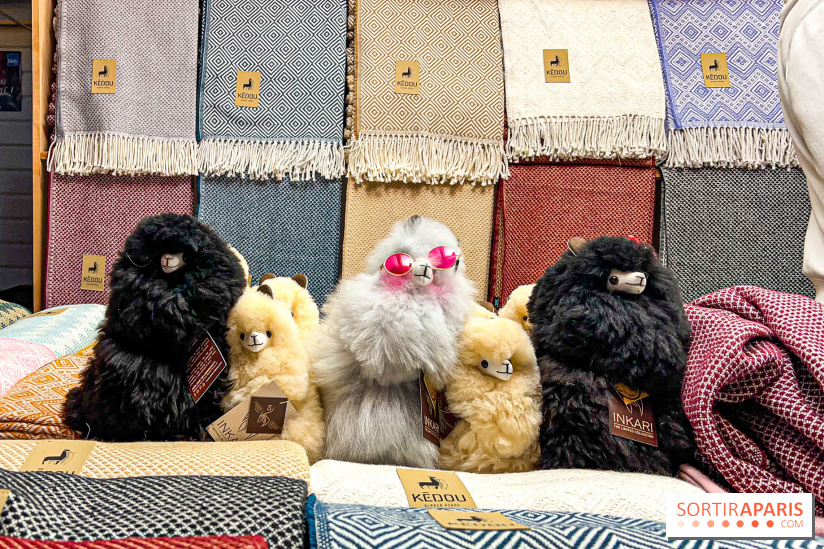 Le Marché de Noël de Boulogne Billancourt (92) - image00039