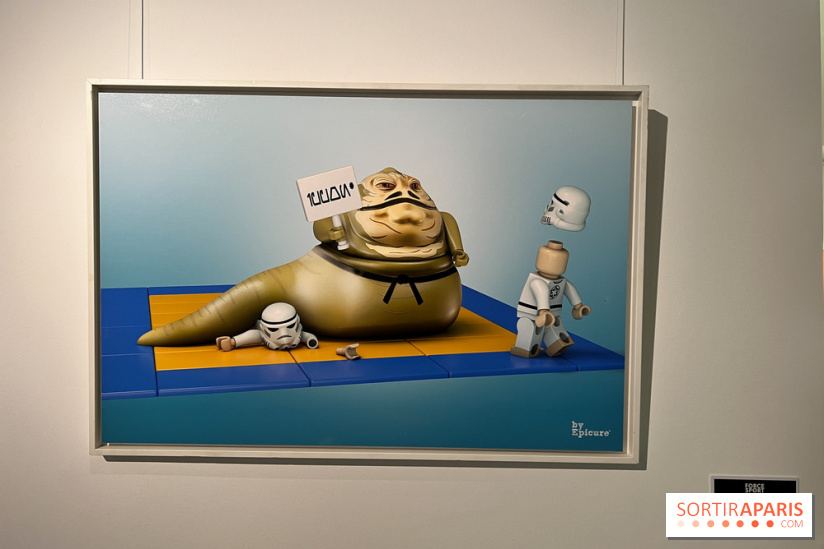 Exposition LEGO à Clichy - IMG 8838