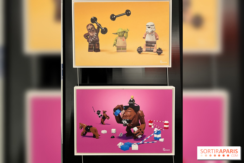 Exposition LEGO à Clichy - IMG 8859