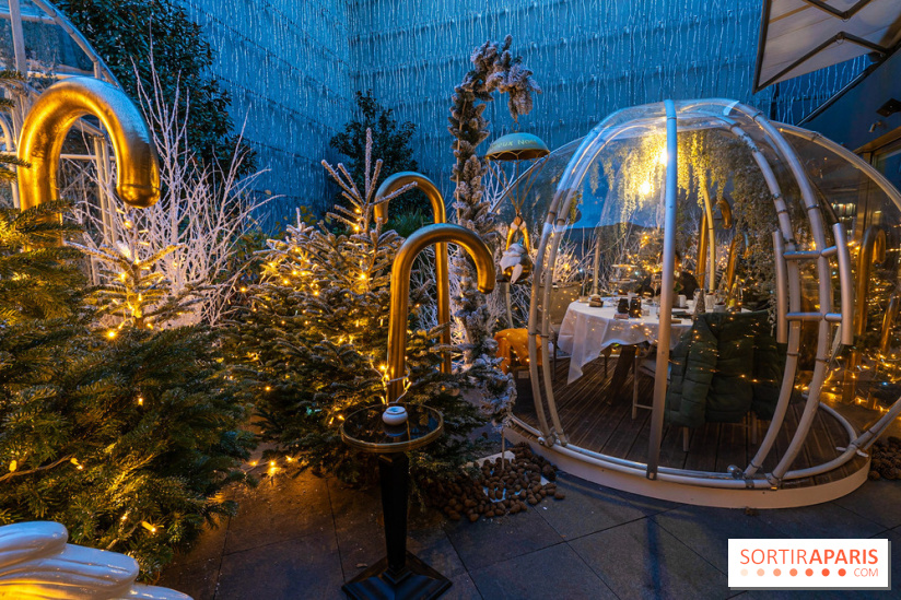 Le Tea Time du Joy à l'Hôtel Fouquet's sur sa terrasse d'hiver enchantée -  A7C9654