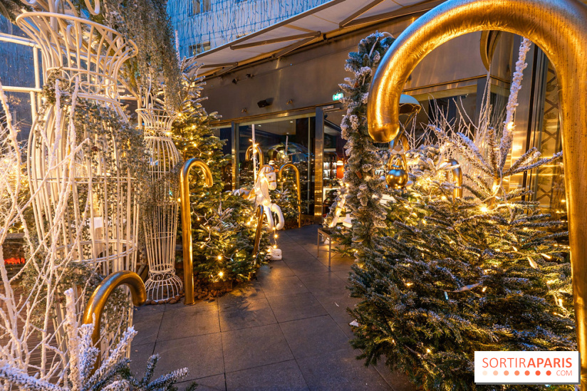 Le Tea Time du Joy à l'Hôtel Fouquet's sur sa terrasse d'hiver enchantée -  A7C9666
