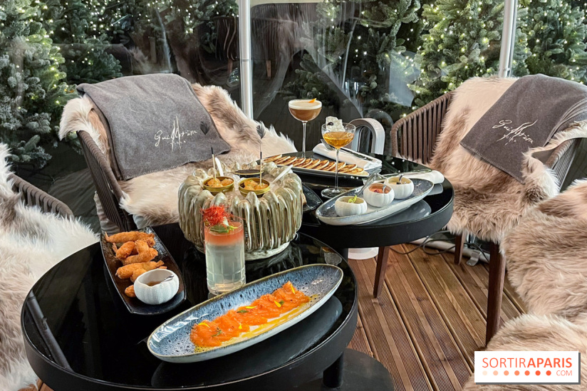 La Bulle de l'Hôtel du Collectionneur pour un apéritif d'exception - IMG 9017