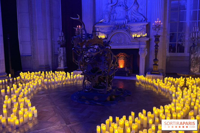 La Belle et la Bête, le spectacle au château de Maisons-Laffitte - nos photos - image00039