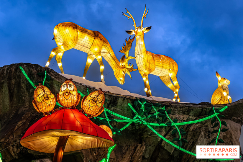 Noël au Parc Astérix 2023, sentier de lumières et patinoire - IMG 4971