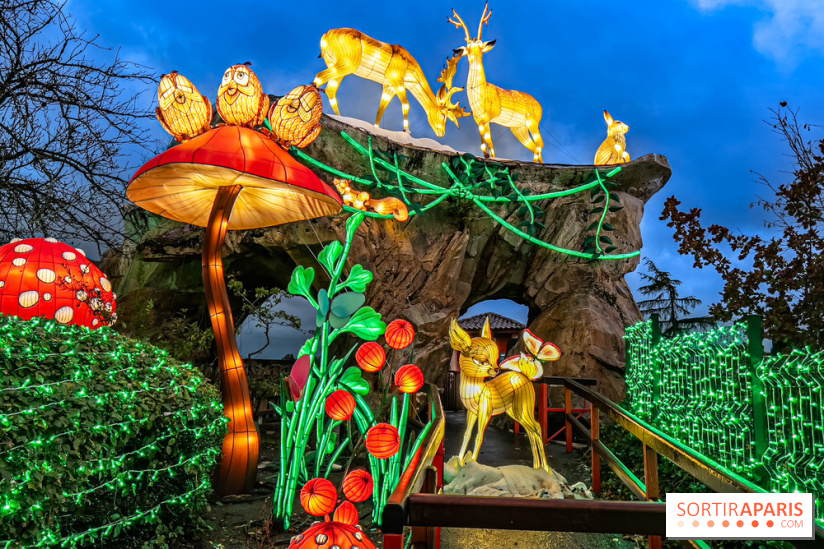 Noël au Parc Astérix 2023, sentier de lumières et patinoire - IMG 4973