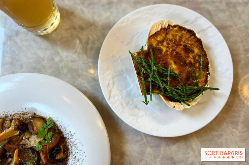 Le Boréal - Saint-Jacques gratinée