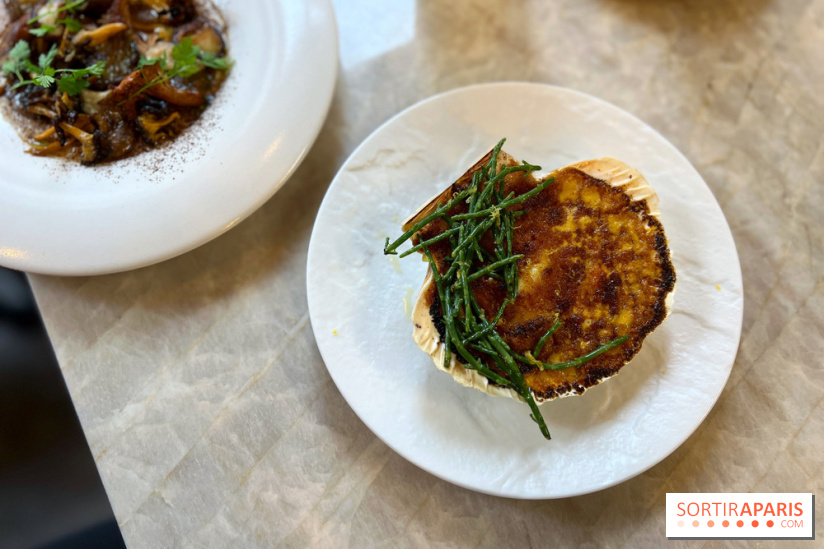 Le Boréal - Saint-Jacques gratinée