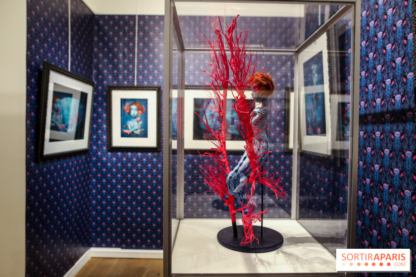 Freaks, l'exposition de Benjamin Lacombe, nos photos