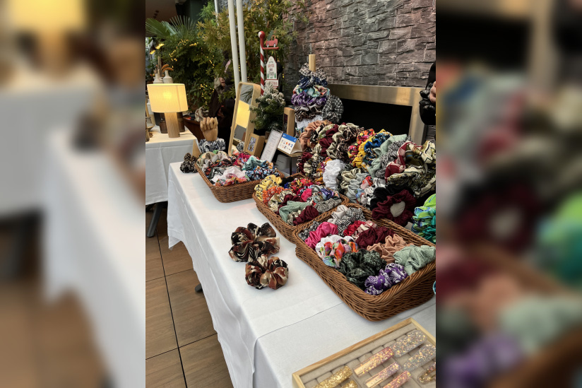 Le marché de Noël du 15 au 17 décembre 2024 au Renaissance République - IMG 9003