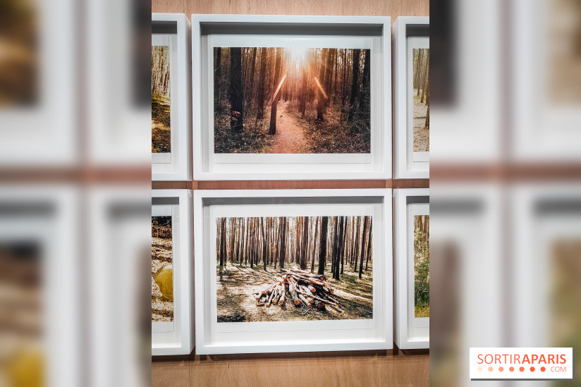 I need to live, l'exposition surprenante de Juergen Teller à voir au Grand Palais Ephémère à Paris