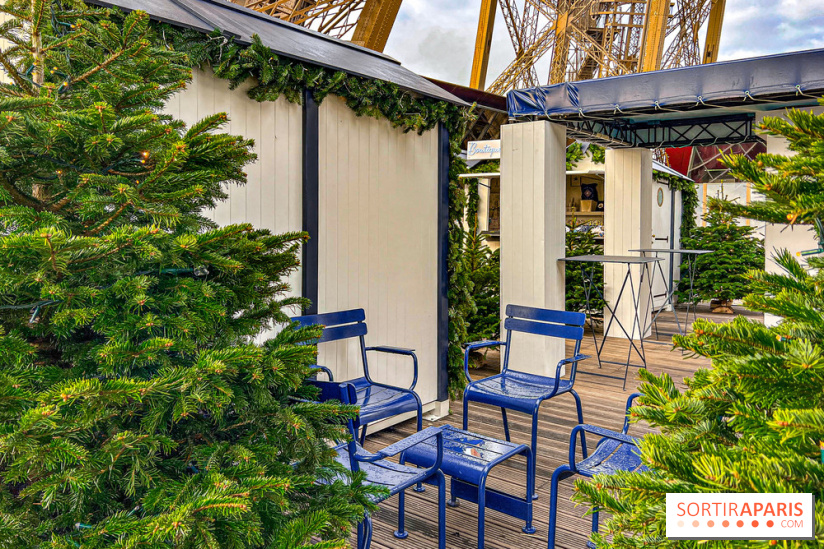 Marché de Noël de la tour Eiffel - image00020