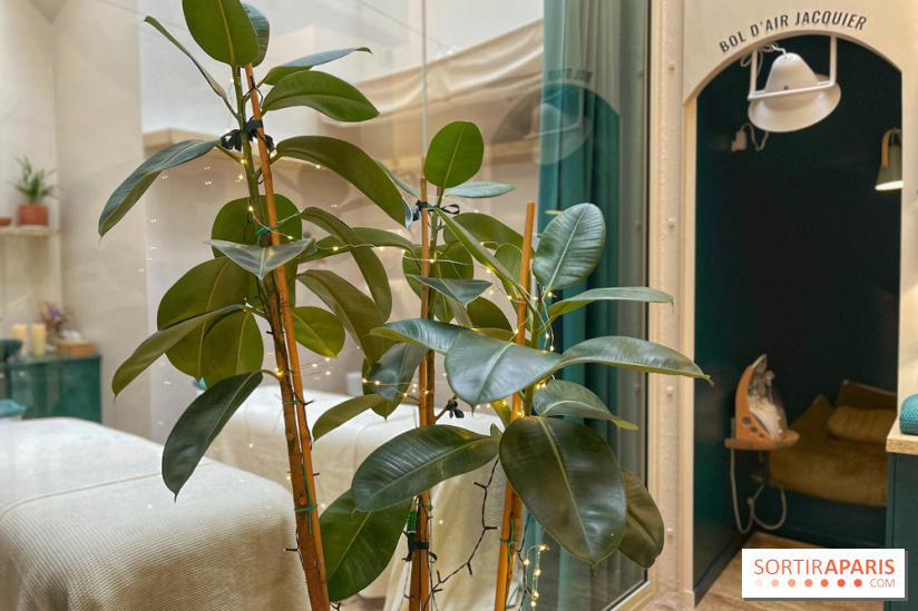 Dream Machine - IMG 7694