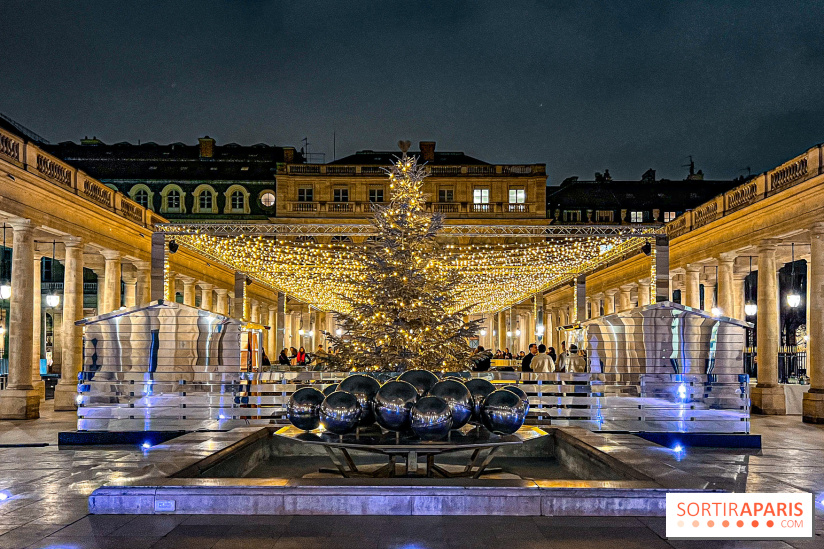 La Patinoire AMI Paris au Palais Royal - image00078