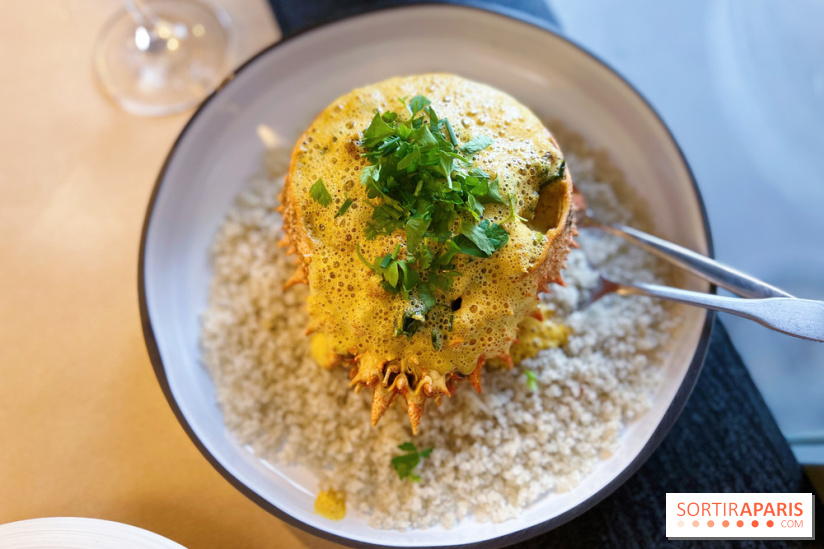 Les Fines Gueules - Araignée entière décortiquée