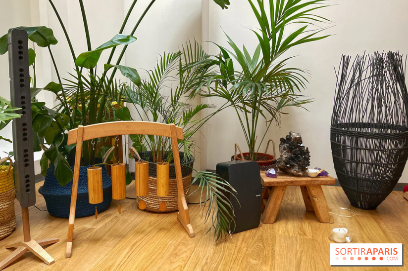 Centre Element - IMG 7955