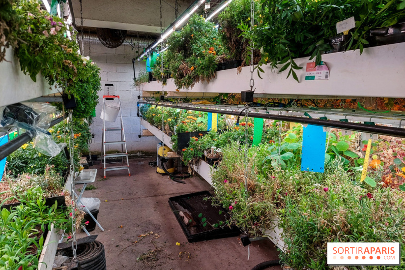 La Caverne, ferme urbaine bio à Paris, nos photos - 20240122 145108