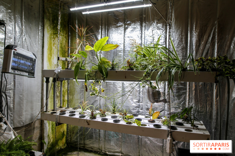 La Caverne, ferme urbaine bio à Paris, nos photos - IMG 2208